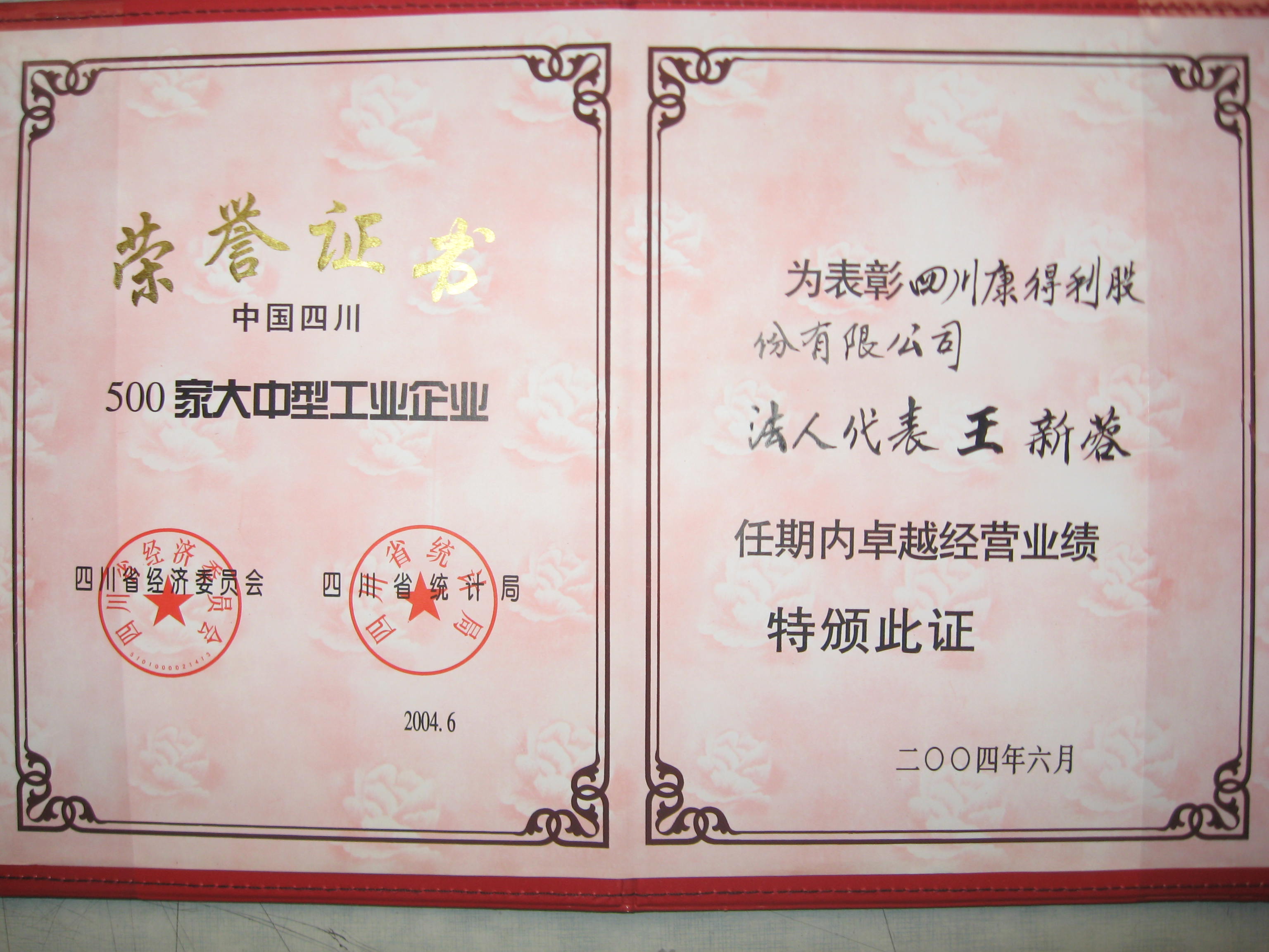 2004董事長卓越經營業績
